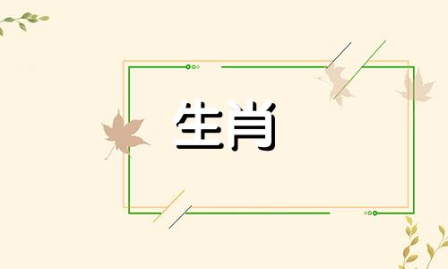 如何嫁给一只属鼠和一只狗?