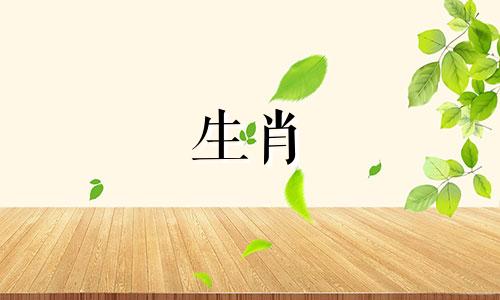 猪和狗能兼容吗?猪和猪能和睦相处吗?