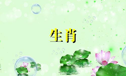 男属龙女虎婚匹配好属龙女和虎男是优越的婚姻