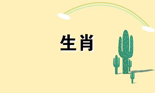 1995猪的生活中三大障碍是什么?第二次婚姻是真的还是假的?