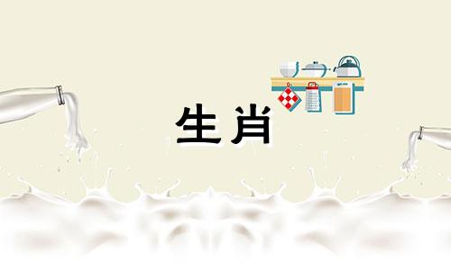 1997年的属牛婚姻是什么?97是个养牛的女孩吗?