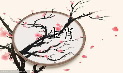 狗和猪的婚姻是如何匹配的?