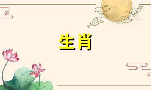 公马母猴你能结婚吗马和猴2020什么时候结婚