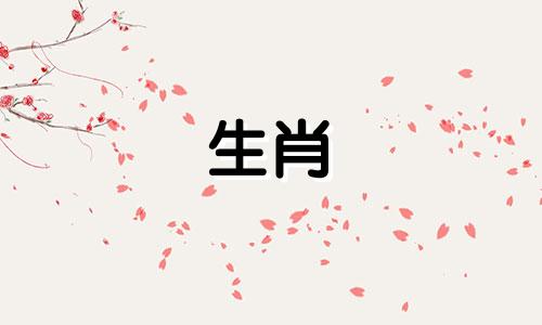 属龙和什么星座最适合属龙族和属龙族结婚