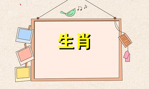 什么属的狗最适合搭配?养狗的女孩?