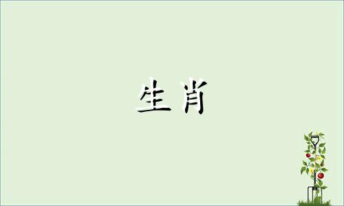 为什么1993年的鸡生活好?