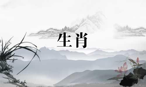 一匹马一生中结过几次婚?马是注定要再婚的吗?