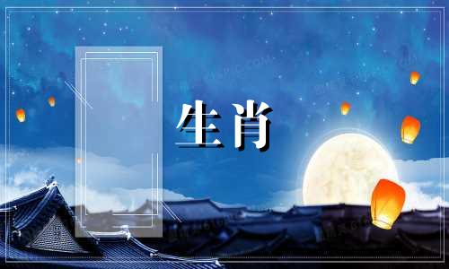 狗的一生有多少次?狗的一生有多少次?