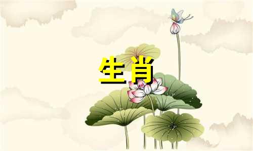 1997牛人生三劫公猪母牛婚姻好