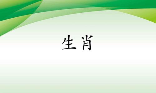 95岁猪女婚姻表95岁猪女终身婚姻表
