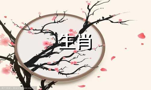 属鼠和狗匹配吗?人94狗96属鼠?