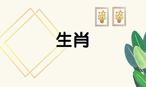 猪和鸡的婚姻是如何破裂的