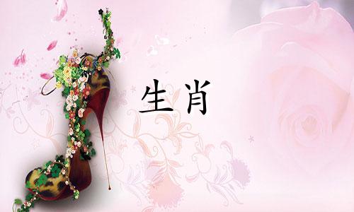 鸡的生肖是什么?婚姻在81年下半年