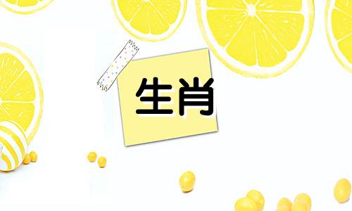 1988属龙和什么生肖最相配88属龙容易离婚