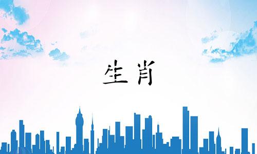 兔年与什么动物物种不对应，这是真的吗?