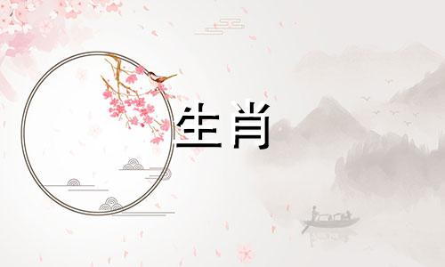 91年的婚礼在哪里?绵羊为什么会有第二次婚姻?