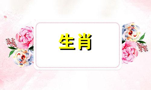 2021年猴年生肖猴年星座运势