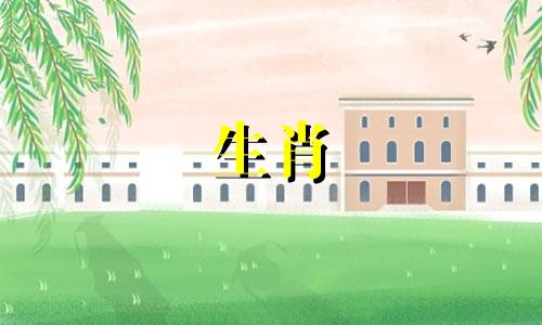 属龙蛇联姻好吗?蛇和属龙的婚姻能结束吗?