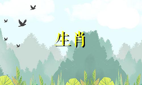 虎与猪相配,生肖猪虎适合夫妻