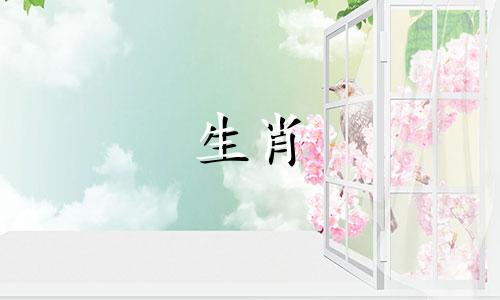 雌性属鼠不想生二胎的原因