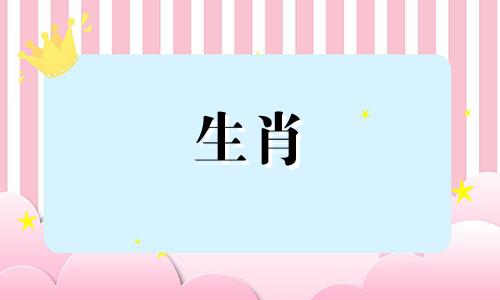 属鼠到底有多努力想让男人回来