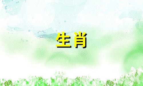 属鼠前半生学到了什么