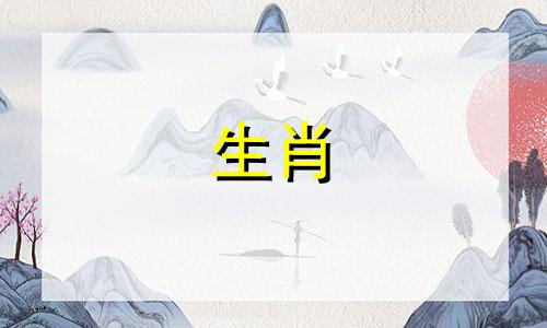 属鼠如何坚强面对生活的困难