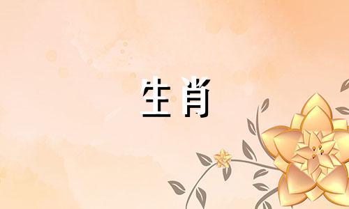 2010年属虎的生活是什么?属虎最苦的生活是什么?