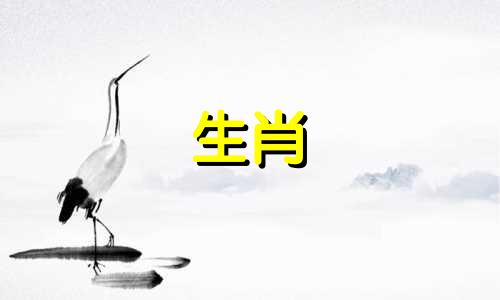 2019年属鼠的人会有什么好运气