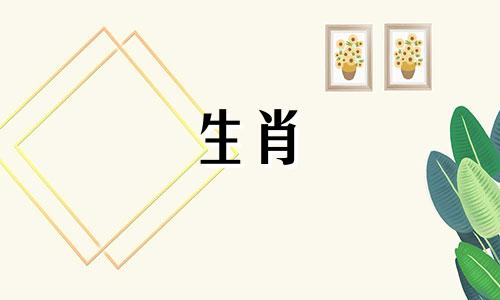 十虎九苦86虎年是什么意思?