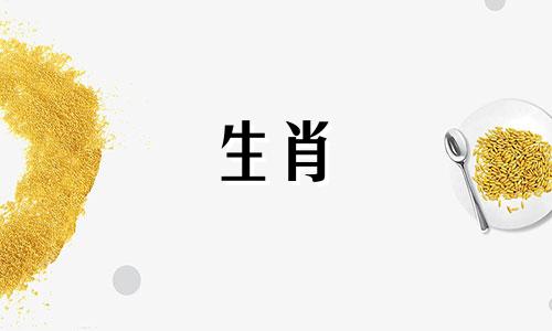 属鼠如何判断一段关系是否有未来