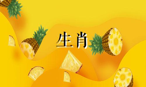 1972年的属鼠是什么?谁是命运的五行?