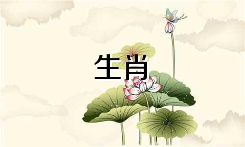 十只属鼠或十只属鼠或十只属鼠