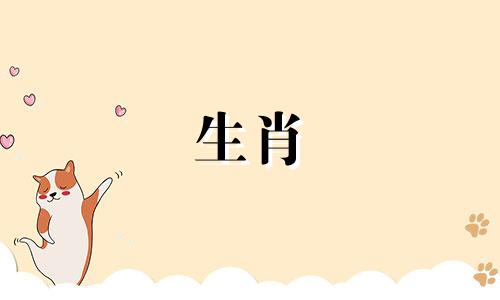 属鼠需要知道什么才能找到真爱