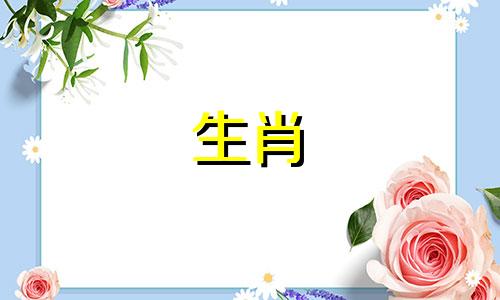 属鼠是如何理解孤独的?