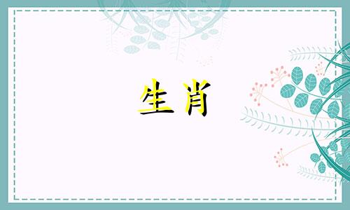 属鼠和什么样的财富要和谁合作才能发财