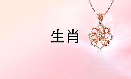 95年生什么命,95年猪婚取向