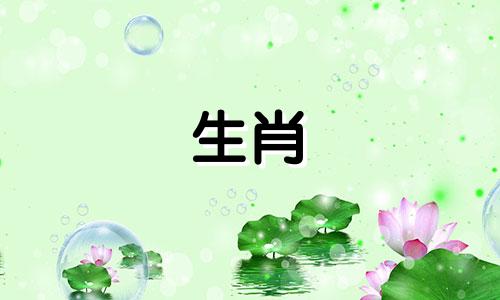 有可能1972年的属鼠在2021年旅行72年,而属鼠已经49岁了吗?