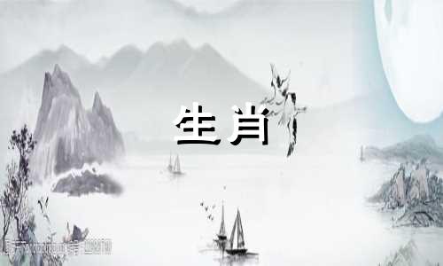 失败的爱情教会了属鼠什么