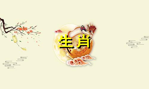 属鼠属于什么属?两只属鼠能比赛吗?