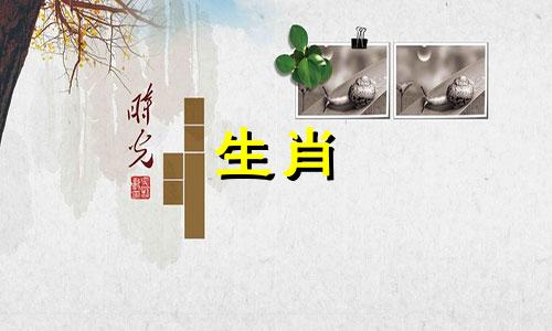 你2021年属鼠的爱情运势