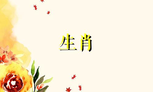 狗和猪是如何一起发财的