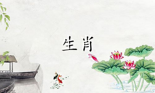 马和虎是否能和睦相处