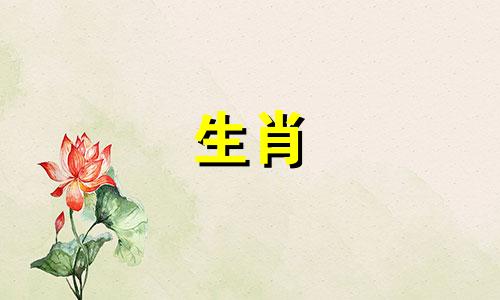 当一只属鼠情不自禁地爱着一个人是什么感觉?