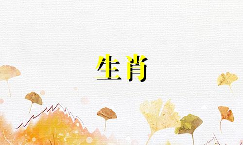 属鼠女人离婚后会怎么样