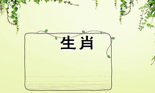 猪和属龙合作生意猪和属龙在一起有多好运气