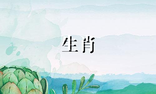 鼠人的生命历程是怎样的?