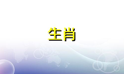 属鼠想要什么样的生活?