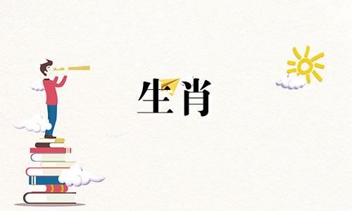 狗和兔子的相互吸引:为什么狗喜欢兔子