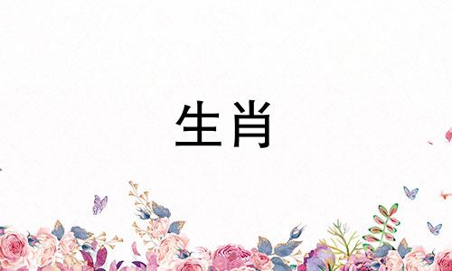 为什么鼠女选择离开一段关系